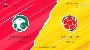 湖北足球联赛展现梦想与风采